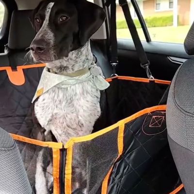 Housse de siège de voiture imperméable pour chien